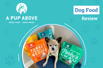 Why This Food Has Won Over My Pups – Dogster