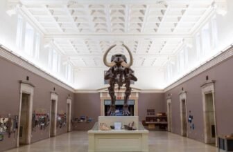 Buffalo Museum of Science Unveils M&T Learn T...