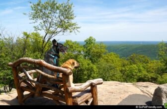 9 Great Pet Friendly Trips To Avoid Crowds