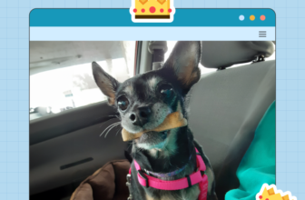 Dogster Photo Contest: Dogs of the Week Winners (D...