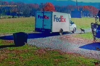 Family Dog Gets Run Over By FedEx Truck, Family De...