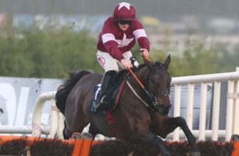Neville Hotels Hurdle: Brighterdaysahead blows awa...