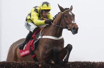 Sir Gino: Nicky Henderson’s star outclasses ...