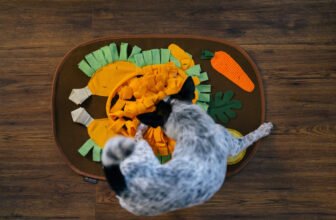 Must-Have Enrichment Pet Toys for a Stress-Free Ho...