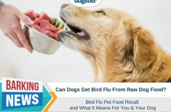 Bird Flu Pet Food Recall