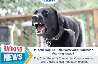 Is Your Dog At Risk? Werewolf Syndrome Warning Iss...