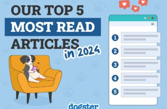 Most Read Articles on Dogster in 2024 – Dogster