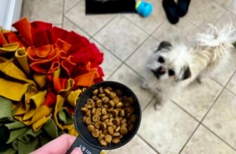 Gizmo’s Adventure Meals – Dogster
