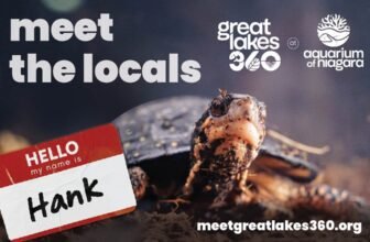 Great Lakes 360 Opens at Aquarium of Niagara