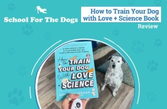 Canine Coaching You’ll Enjoy – Dogster