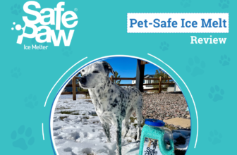 A Pet-Friendly Way to De-Ice – Dogster