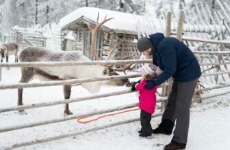 A Winter Frolic for the Family: Blizzard Blast and...