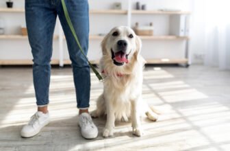 The Umbilical Cord Method (Vet-Approved) – Dogst...