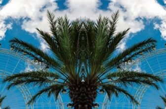 10 Top Hotels Near Epic Universe Orlando