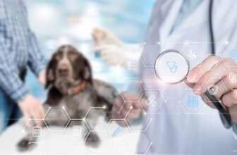 How Artificial Intelligence Is Taking the Guesswor...