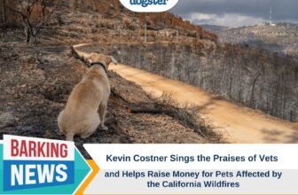 Kevin Costner Sings the Praises of Vets and Helps ...