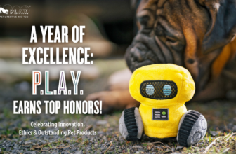 P.L.A.Y. Honored With the 2024 BBB Torch Award for...