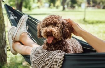 11 Ways to Automate Your Life (and Get Back More F...