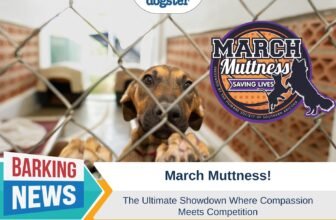 March Muttness – The Ultimate Showdown Where...