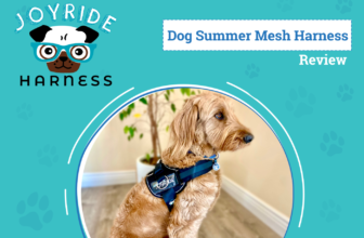 Walk Your Dog with Comfort & Control – Dogs...