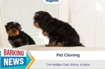 Cost, Ethics & More – Dogster