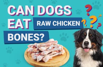 Can Dogs Eat Raw Chicken Bones? Our Vet Explains N...