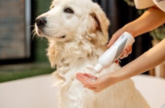Does Dog Shampoo Expire? Vet-Verified Types, Stora...