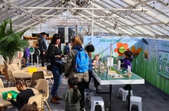 Playspace Opens at The Buffalo and Erie County Bot...