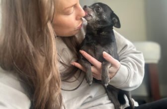 Subi’s Slobbery Fixation – Dogster