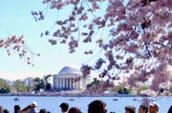 A Hassle-free Guide – Dumb Little Man