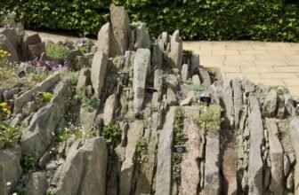 How (and Why) to Grow a Crevice Garden