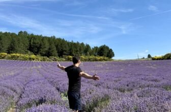 How to Travel for Cheap (or Free) in 2025