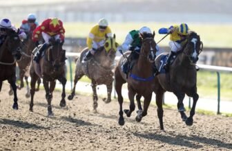 Today on Sky Sports Racing: Lingfield and Wolverha...