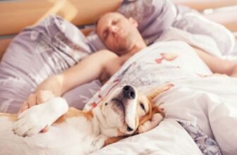 How to Create a Sleep Routine That’s Perfect...