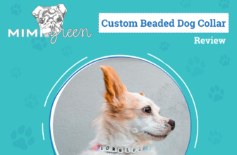 A Useful Token For Our Four-Legged BFFs – Dogste...