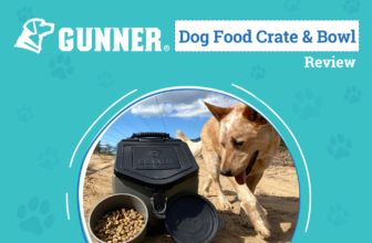 The Best Way to Road Trip with Your Pup – Dogste...