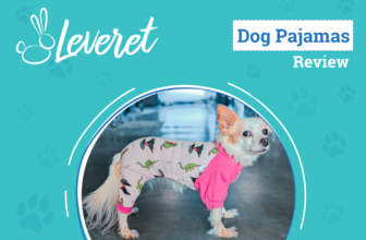 A Prehistoric Bedtime Fashion Icon – Dogster