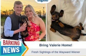 Bring Valerie Home – Fresh Sightings of the ...