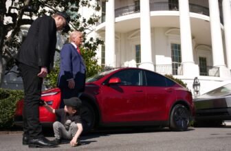 Tesla reportedly delays launch of new low-cost mod...