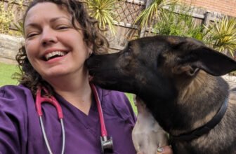 Life with Kodah the Shadow – Dogster