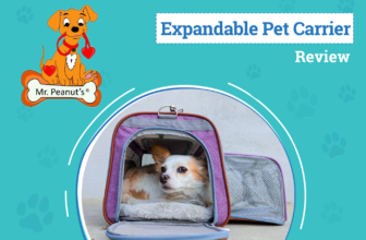 A First-Class Ride for Four-Legged Travelers – D...