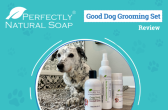 The Perfect Way to Clean your Dog – Dogster