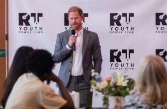 Prince Harry meets, funds youth groups advocating ...