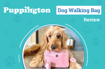 Walk Your Furry Friend in Style – Dogster