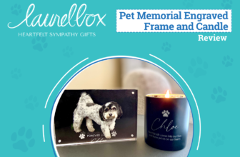 Healing Hearts After Pet Loss – Dogster