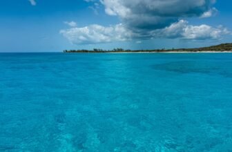 Disney Cruise Line private island showdown: Castaw...