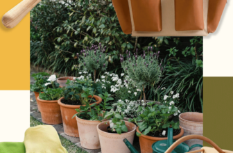 In The Garden: Latest Gardening Tools & Acces...