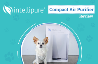 Next-Gen Filtration in a Compact Shell – Dogster