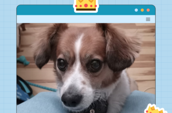 Dogster Photo Contest: Dogs of the Week Winners (M...