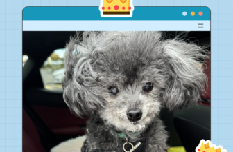 Dogster Photo Contest: Dogs of the Week Winners (M...